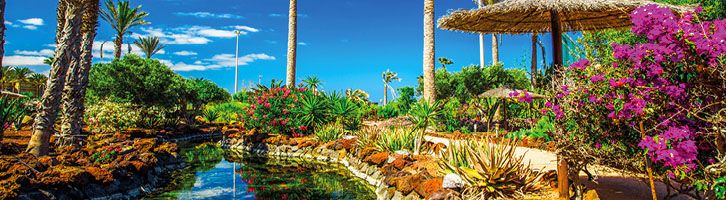 Fuerteventura