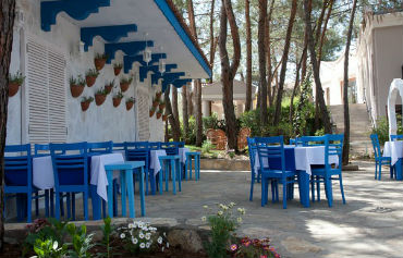 Hotel Pine Valley