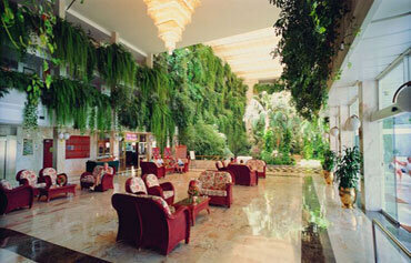 Hotel Vulcano