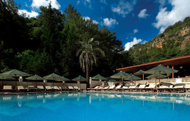Julian Forest Suites