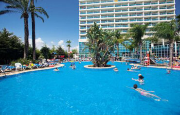 Hotel Flamingo Oasis