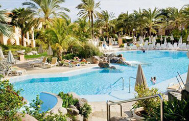 Palm Oasis