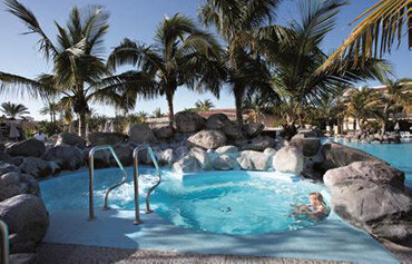 Palm Oasis 