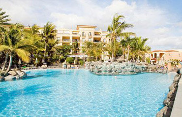 Palm Oasis 